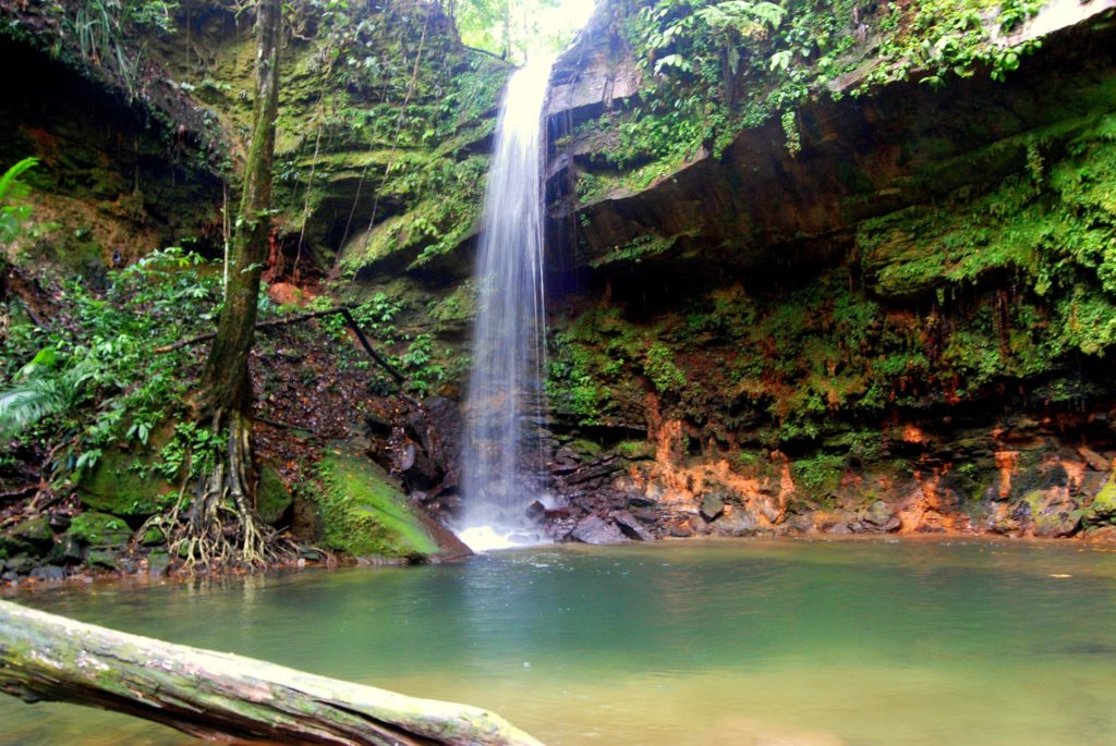 Lambir Hills Nemzeti Park